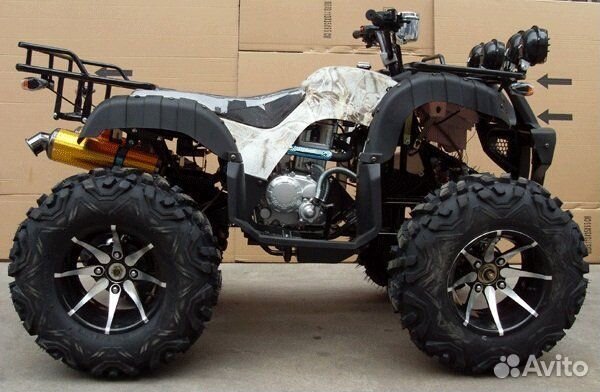 Grizzly 250 Limited