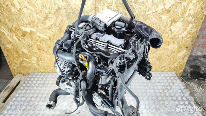 Двигатель Volkswagen Golf 5 (2003 - 2009) 1.9 BXF