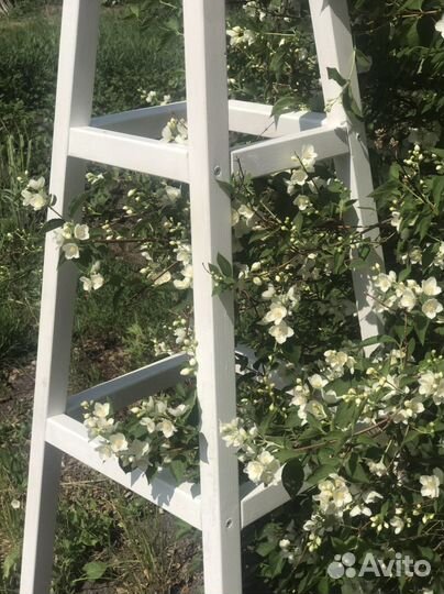 Опора для растений, обелиск, пергола