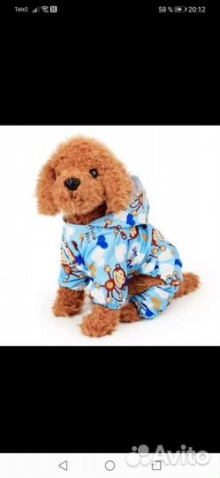 Одежда для собак мелких пород