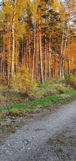 Участок 30 сот. (ИЖС)