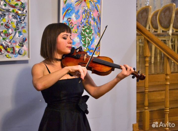 Скрипачка, музыкант на праздник, свадьбу