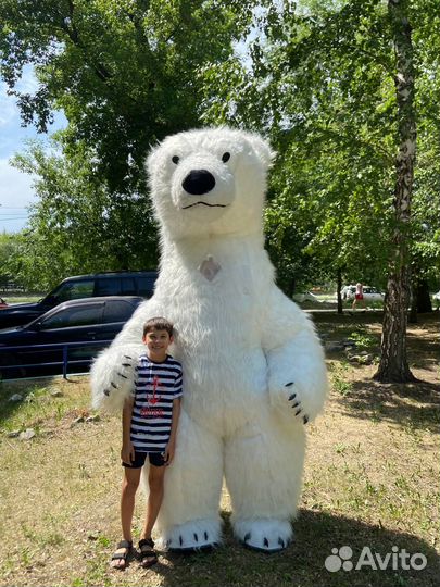 Медведь поздравление белого медведя в Новосибирске