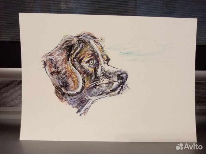 Цветок пастелью. Бумага