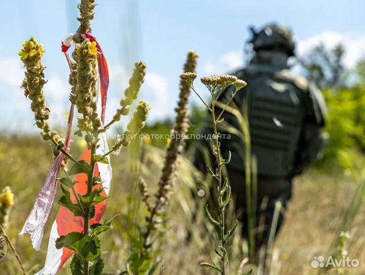 Миноискатель / Металлоискатель Alfamarine 5000