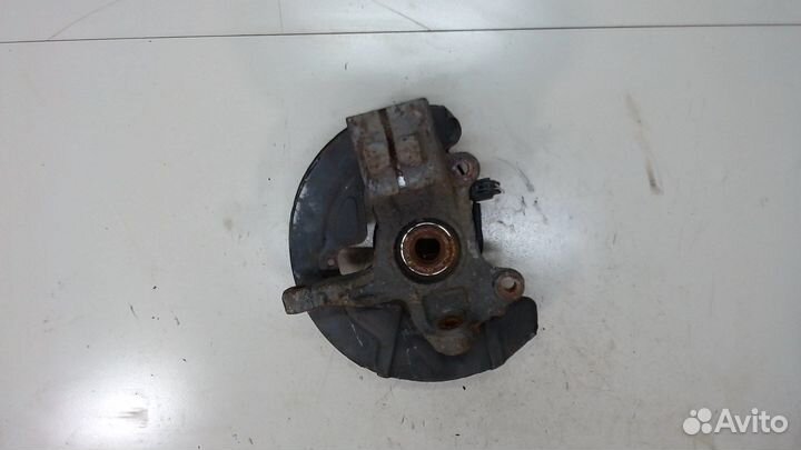 Ступица (кулак, цапфа) Land Rover Freelander 2, 20