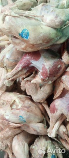 Мясо индейки оптом