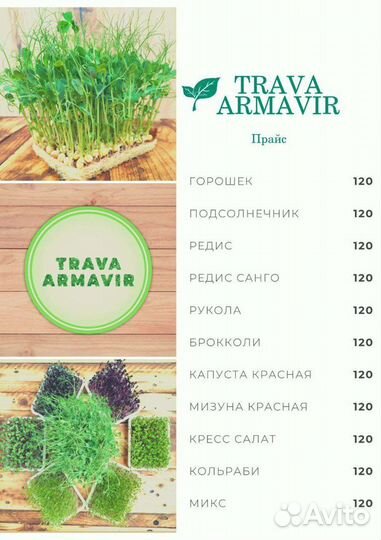 Продам микрозелень горошек,редис