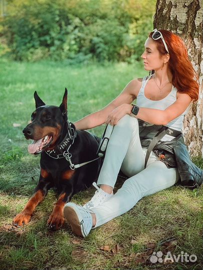 Выгульщик собак/ Передержка собак и кошек