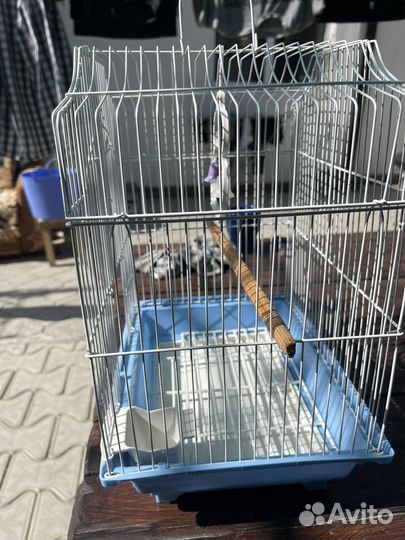 Клетка для попугая бу