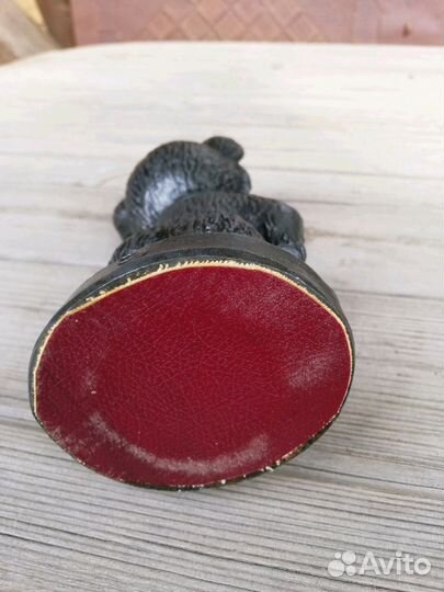 Мишка чемпион N1