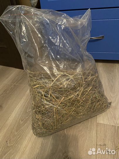 Аквариум Террариум 50х50х25