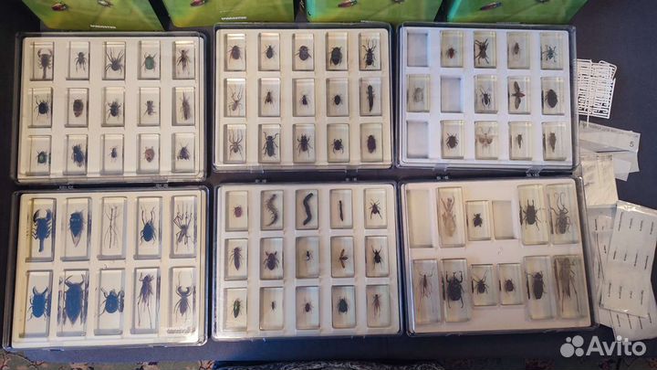 Самая первая коллекция 