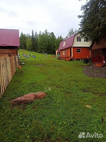 Отдых в Усть- Коксе