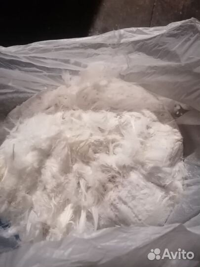 Пух перо гусиное