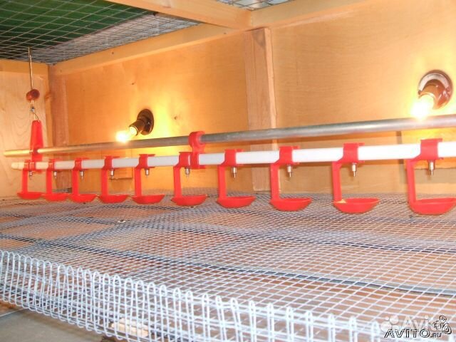 Ниппельные поилки для птиц