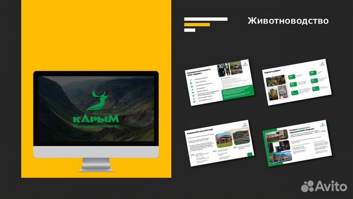Презентация в Power point на заказ