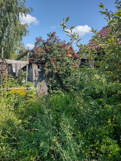 Дача 12 м² на участке 5,2 сот.