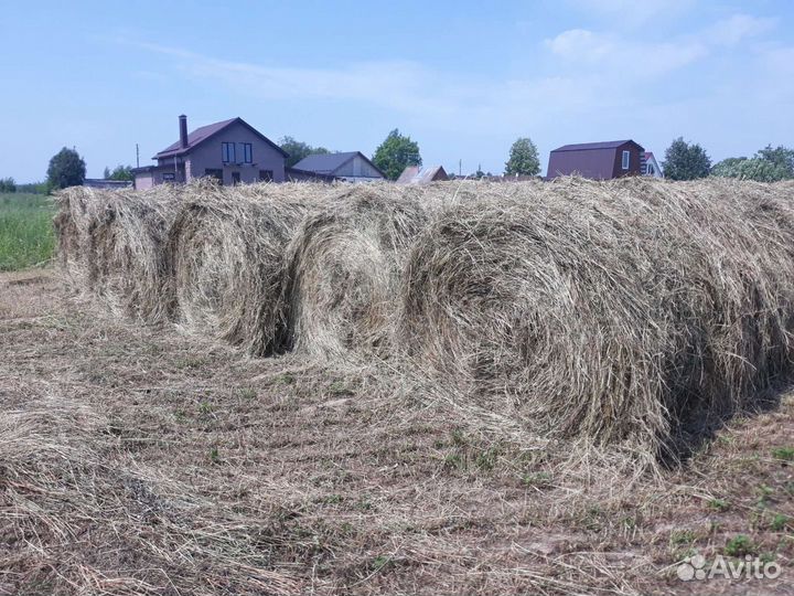 Сено в тюках и рулонах