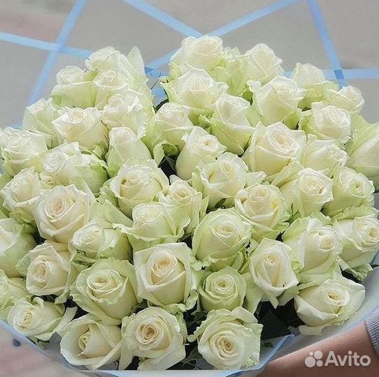 101 Роза Цветы Букеты 51 25 Роз Доставка