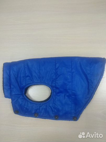 Одежда для маленьких собак