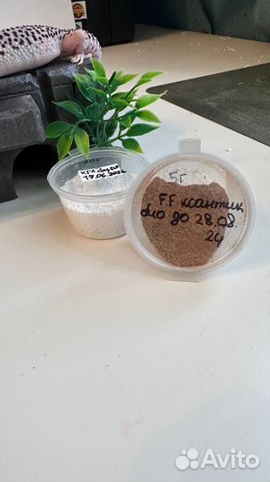 Кальций для рептилий без Д3