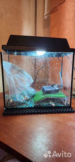 Аквариум