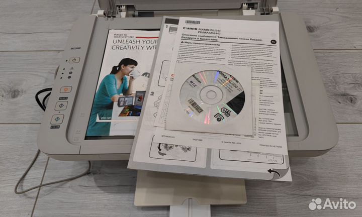 Принтер мфу Canon Pixma MG2440