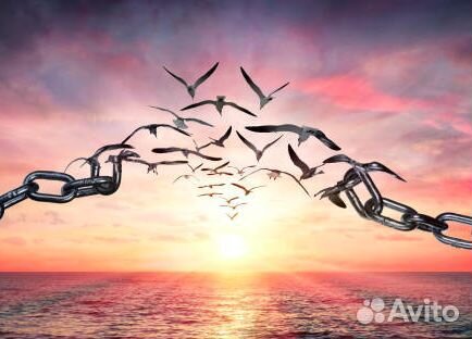 Списание долгов, банкротство в Иркутске