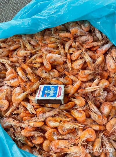 Креветки в Москве и мо