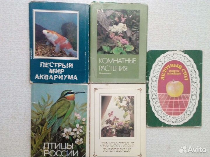 Коллекционирование