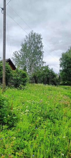 Дом 55 м² на участке 30 сот.