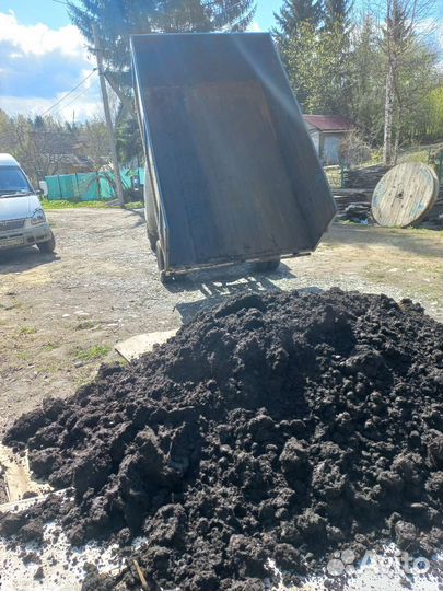 Земля чернозем