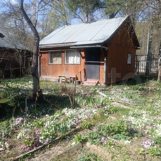 Участок 3,7 сот. (СНТ, ДНП)