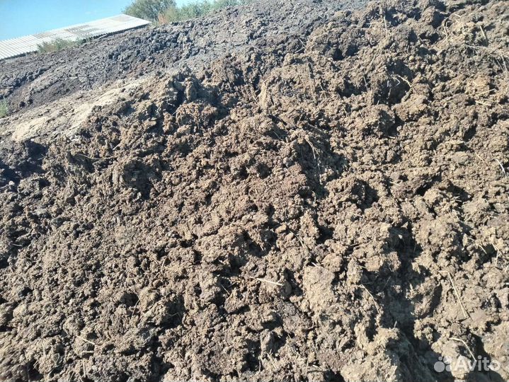 Навоз перегной бесплатно