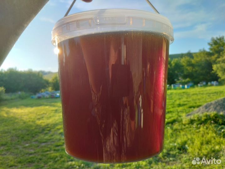 Мед разнотравье