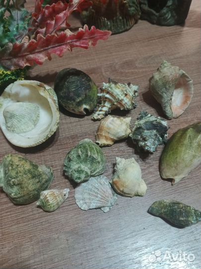 Декорации для аквариума