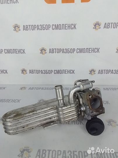 Радиатор Еgr Volkswagen 1.9 TDI BKC 038131513AD