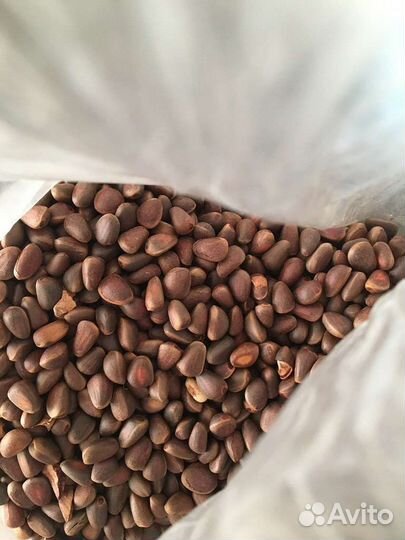 Кедровый орех