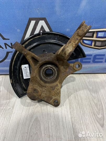 Кулак поворотный Цапфа Ступица в сборе Renault kap