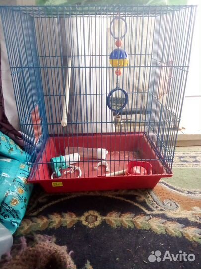 Клетка для попугая бу