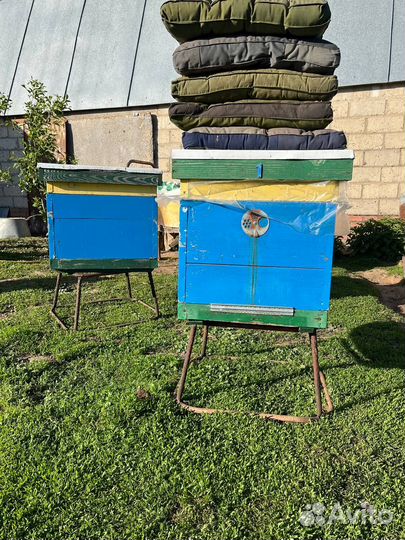 Ульи для пчел