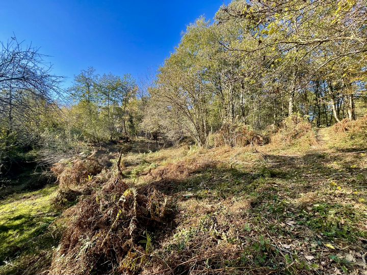 Участок 5,8 сот. (СНТ, ДНП)