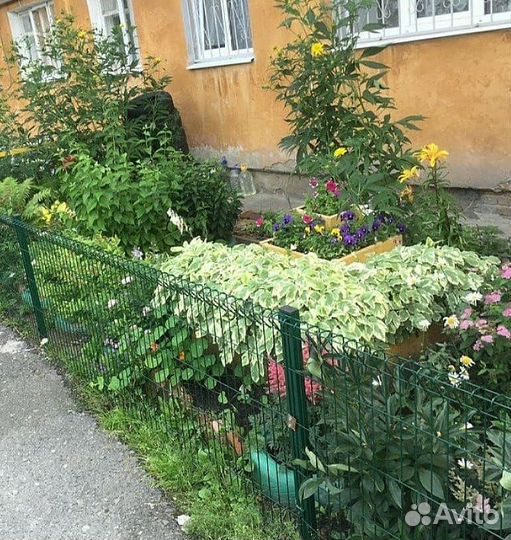 Забор из 3д сетки