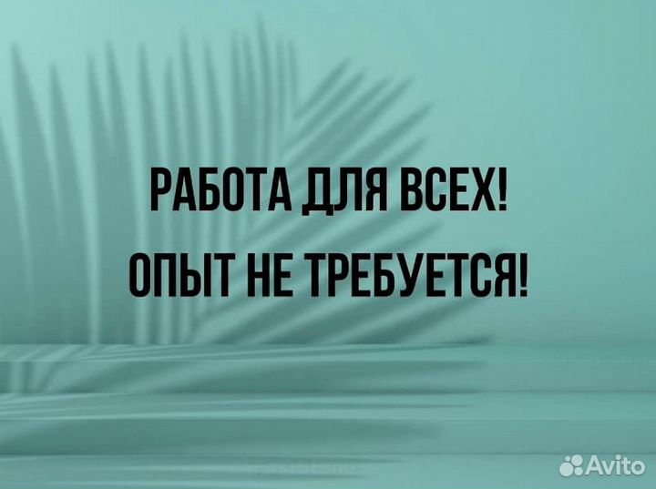 Мойщики вахта