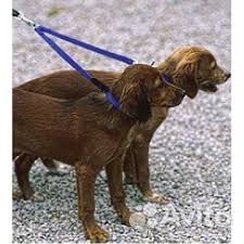 Сворка для выгула двух собак