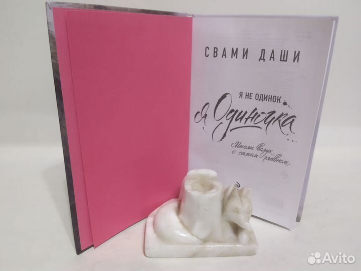 Свами Даши Я не одинок. Я одиночка