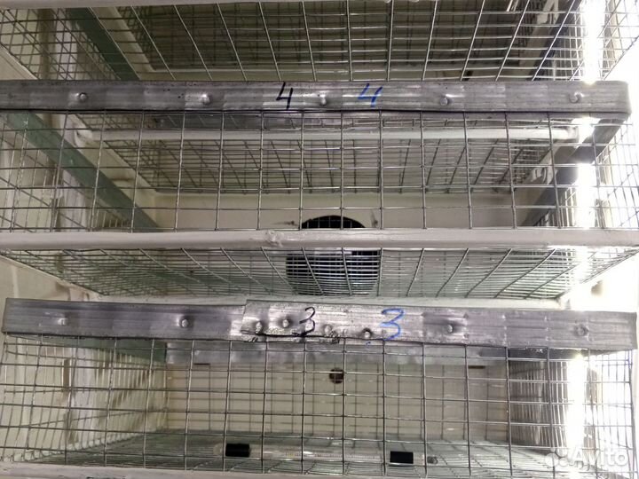 Инкубатор из холодильника 620 яиц