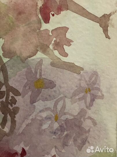 Сирень акварелью