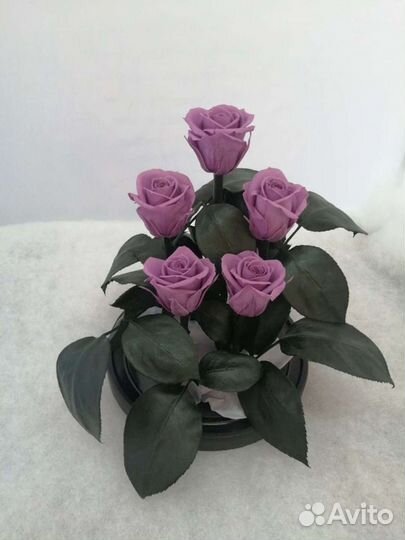 Роза в колбе оптом и в розницу